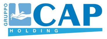 Alternate Text